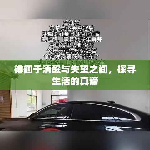 徘徊于清醒与失望之间,探寻生活的真谛