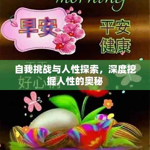 自我挑战与人性探索,深度挖掘人性的奥秘