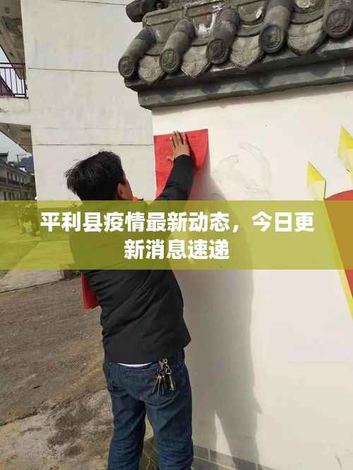平利县疫情最新动态,今日更新消息速递