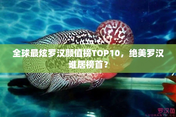 全球最炫罗汉颜值榜TOP10,绝美罗汉谁居榜首?