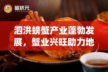 泗洪螃蟹产业蓬勃发展,蟹业兴旺助力地方经济飞跃发展