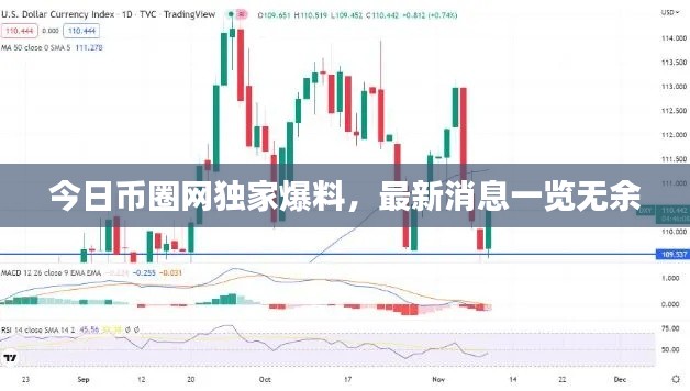 今日币圈网独家爆料,最新消息一览无余