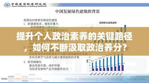 提升个人政治素养的关键路径,如何不断汲取政治养分?