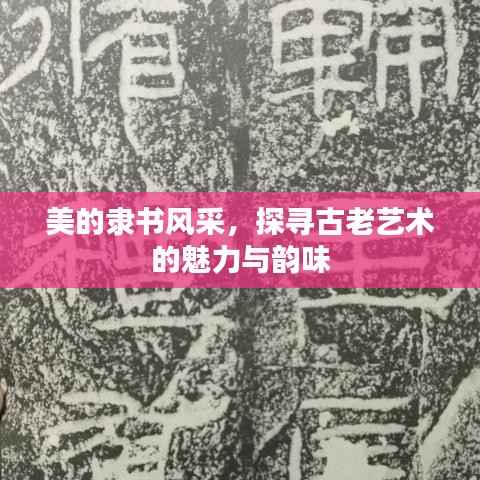 美的隶书风采，探寻古老艺术的魅力与韵味