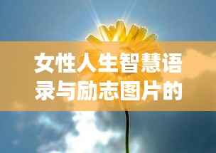 女性人生智慧语录与励志图片的力量,激发无限潜能与灵感