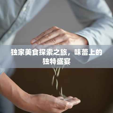 独家美食探索之旅,味蕾上的独特盛宴