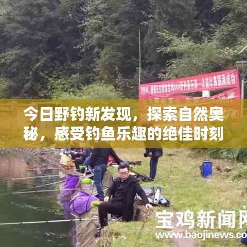 今日野钓新发现,探索自然奥秘,感受钓鱼乐趣的绝佳时刻!