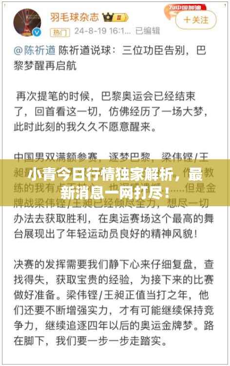 小青今日行情独家解析,最新消息一网打尽!