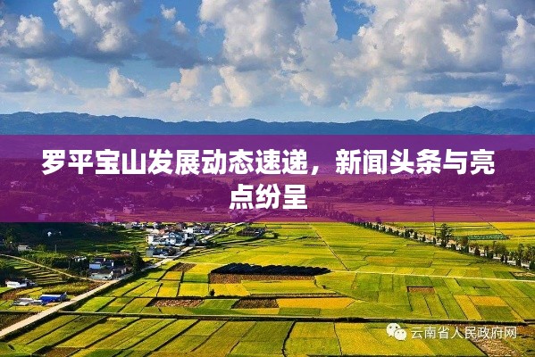罗平宝山发展动态速递,新闻头条与亮点纷呈
