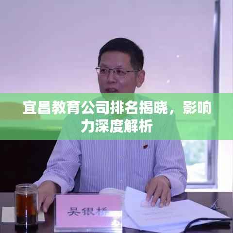 宜昌教育公司排名揭晓,影响力深度解析