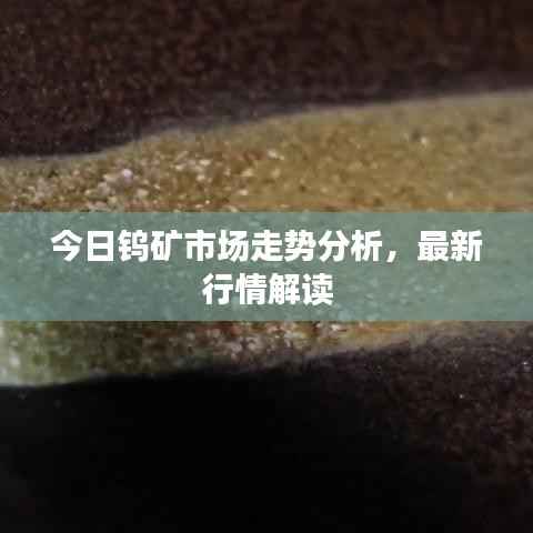 今日钨矿市场走势分析,最新行情解读