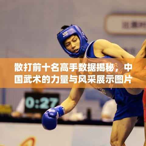 散打前十名高手数据揭秘,中国武术的力量与风采展示图片