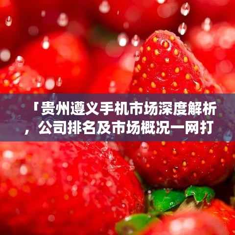 「贵州遵义手机市场深度解析,公司排名及市场概况一网打尽」