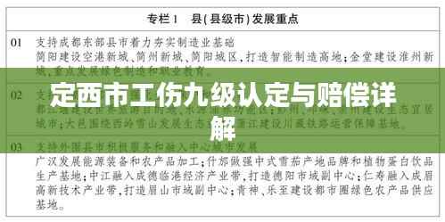 定西市工伤九级认定与赔偿详解