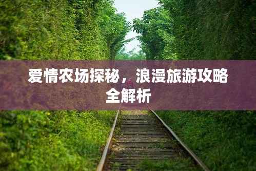 爱情农场探秘,浪漫旅游攻略全解析