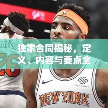 独家合同揭秘,定义、内容与要点全解析