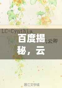 百度揭秘,云卿卿与九枭的封缄之谜,神秘传说引人探寻