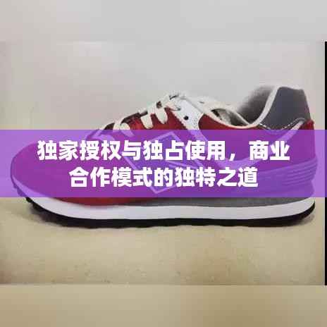 独家授权与独占使用,商业合作模式的独特之道