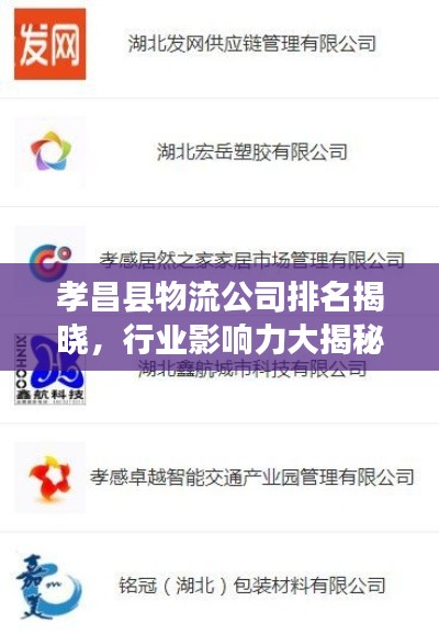 孝昌县物流公司排名揭晓,行业影响力大揭秘!