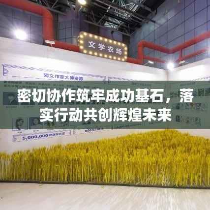 密切协作筑牢成功基石,落实行动共创辉煌未来