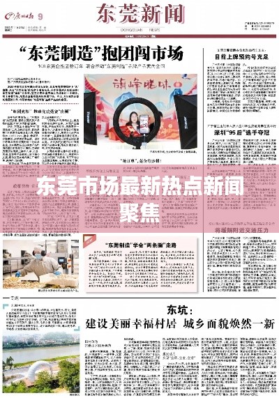 东莞市场最新热点新闻聚焦
