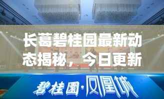 长葛碧桂园最新动态揭秘,今日更新消息一览