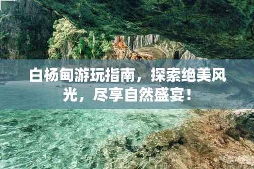白杨甸游玩指南,探索绝美风光,尽享自然盛宴!