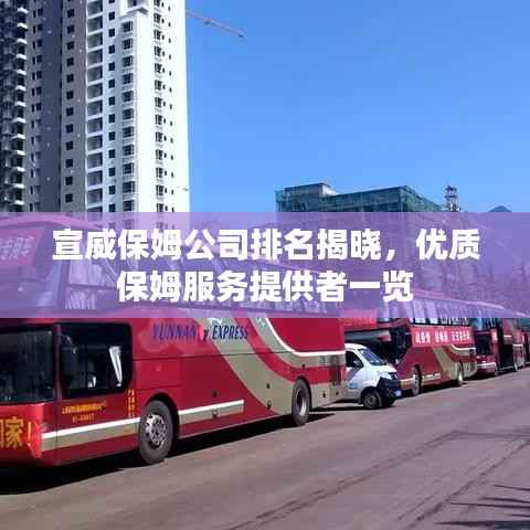 宣威保姆公司排名揭晓，优质保姆服务提供者一览