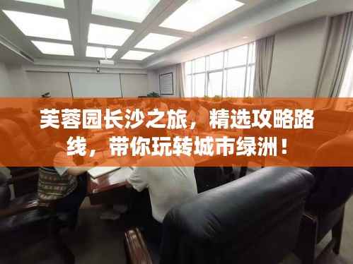 芙蓉园长沙之旅,精选攻略路线,带你玩转城市绿洲!