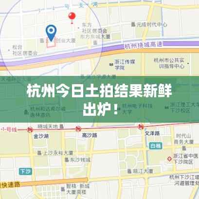 杭州今日土拍结果新鲜出炉!
