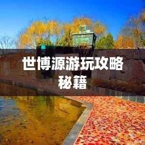 世博源游玩攻略秘籍
