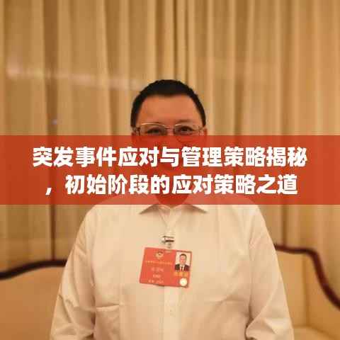 突发事件应对与管理策略揭秘,初始阶段的应对策略之道