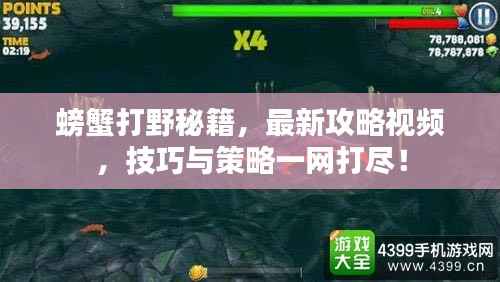 螃蟹打野秘籍,最新攻略视频,技巧与策略一网打尽!