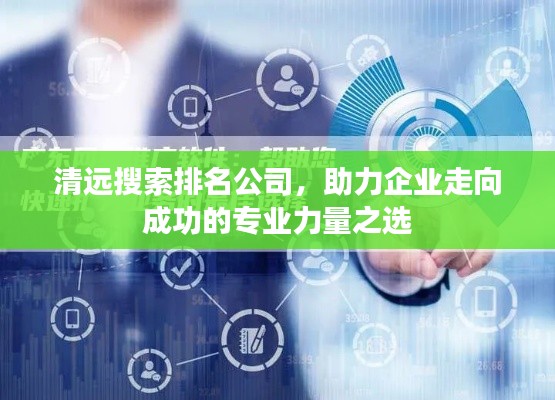 清远搜索排名公司,助力企业走向成功的专业力量之选