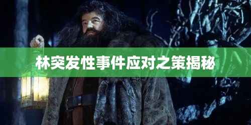 项目介绍 第136页