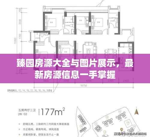臻园房源大全与图片展示,最新房源信息一手掌握
