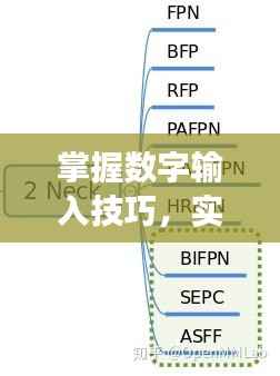 掌握数字输入技巧，实现持续高效输出！
