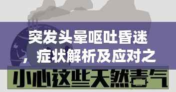 突发头晕呕吐昏迷，症状解析及应对之策