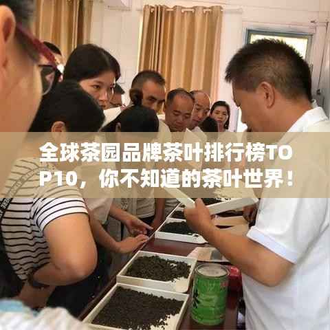 全球茶园品牌茶叶排行榜TOP10,你不知道的茶叶世界!