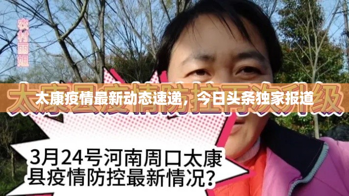 太康疫情最新动态速递,今日头条独家报道
