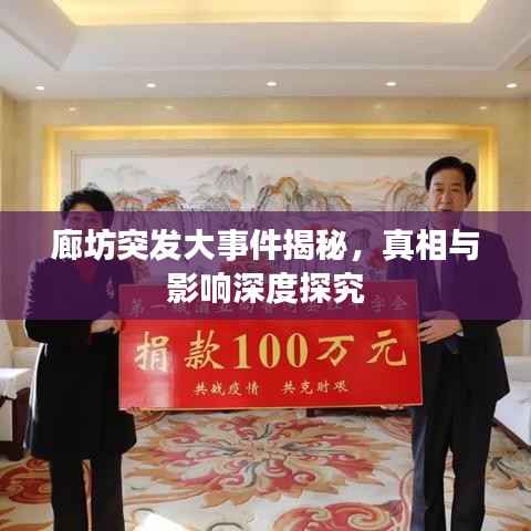 廊坊突发大事件揭秘,真相与影响深度探究