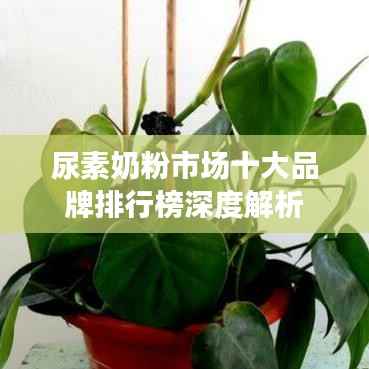 无影无踪 第2页