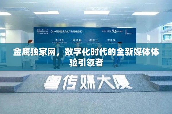 金鹰独家网,数字化时代的全新媒体体验引领者