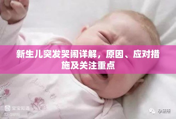 新生儿突发哭闹详解,原因、应对措施及关注重点