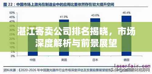 湛江寄卖公司排名揭晓,市场深度解析与前景展望