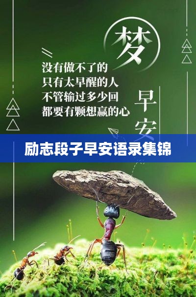 励志段子早安语录集锦