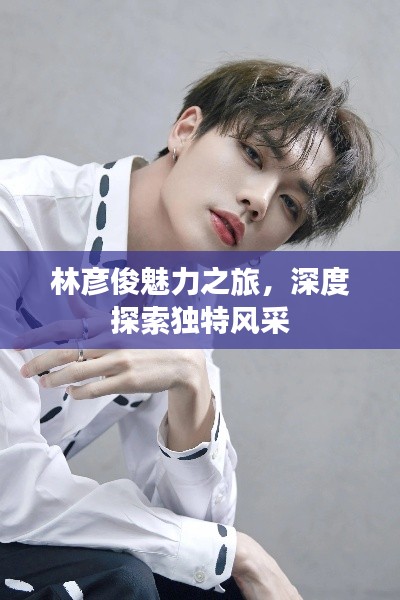 林彦俊魅力之旅,深度探索独特风采