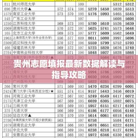 贵州志愿填报最新数据解读与指导攻略