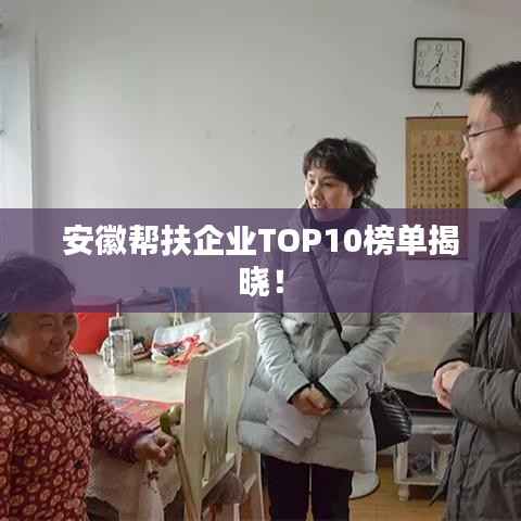 安徽帮扶企业TOP10榜单揭晓!