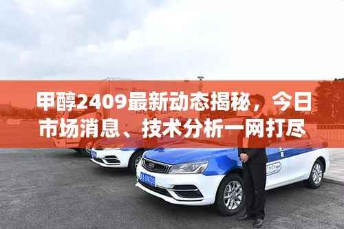 甲醇2409最新动态揭秘,今日市场消息、技术分析一网打尽